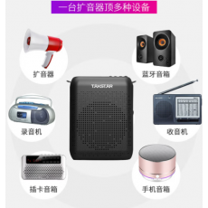 得胜（TAKSTAR） E220 小蜜蜂扩音器 教学专用户外导游教师上课收录音蓝牙便携式音箱